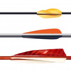 Arrow Fletchings