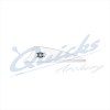 Bohning X-Vanes 1.75 inch (per doz) : BF10Plastic VanesBF10