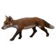 Bearpaw Longlife Sneaking Fox 3D Target : BT41