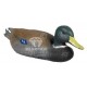 Bearpaw Longlife Drake 3D Target : BT43