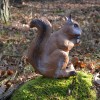 Longlife Squirrel