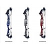 Darton Archery Exodus:  Compound 37"
