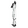 Darton Archery Exodus:  Compound 37"