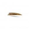 Gas Pro  NACA 200 Vanes Pack of 40