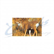 Delta Tru-Life Target Face Mule Deer : DT21