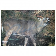 Delta Tru-Life Target Face Whitetail Deer No.203 : DT23