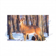 Delta Tru-Life Target Face Big Deer No.402 : DT25