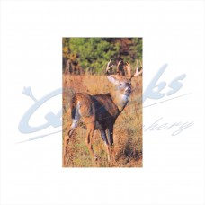 Delta Tru-Life Target Face Big Deer No.404 : DT26