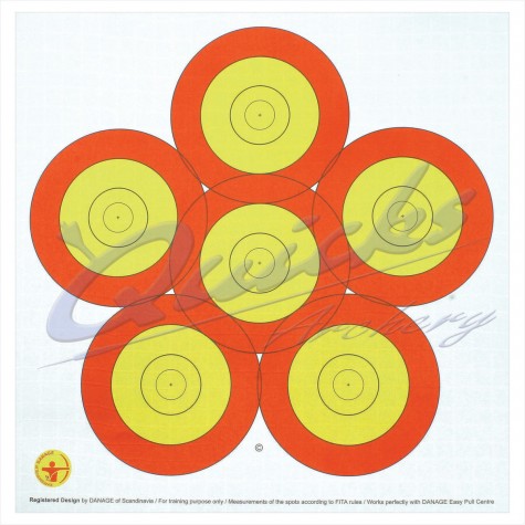 Danage 40cm 6 spot target face : DT65RoundelDT65