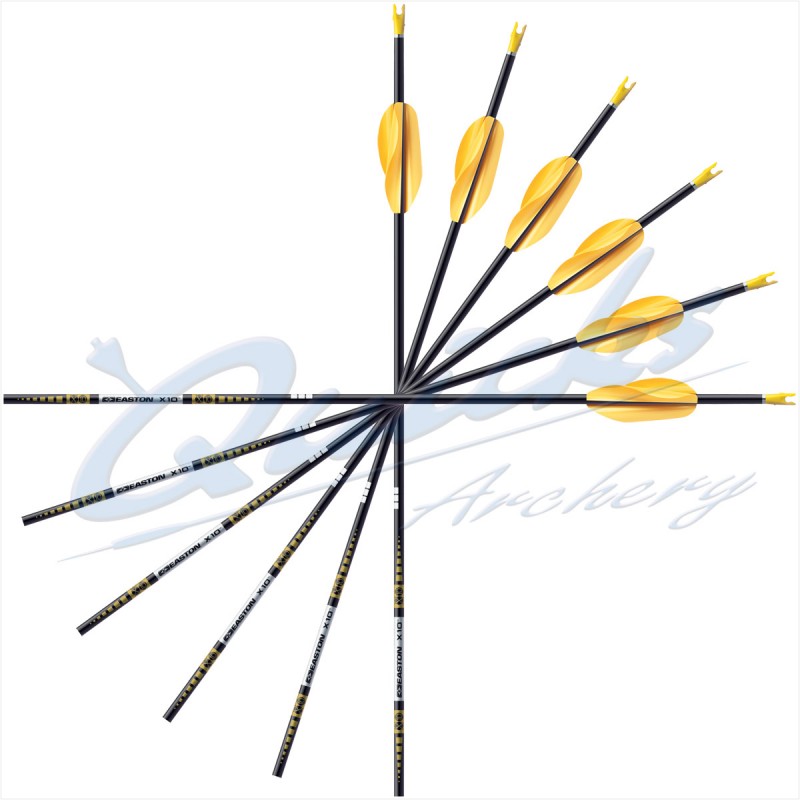 Easton X10 Arrows with EP08 Points & Beiter Pin Nocks