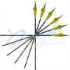 Easton X10 Pro Tour Arrows with EP08 Points & Beiter Pin Nocks (Set of 12) : ES15Carbon ArrowsES15 3FL B