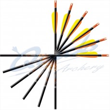 Easton  XX75 2014  Extra Long  Arrows Complete with Uni Bush, Internal Nocks & EP33 Points : (Set of 8) :  ES90