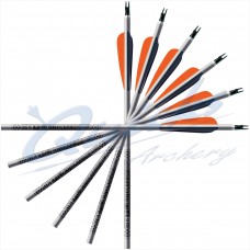 Aluminium Arrows