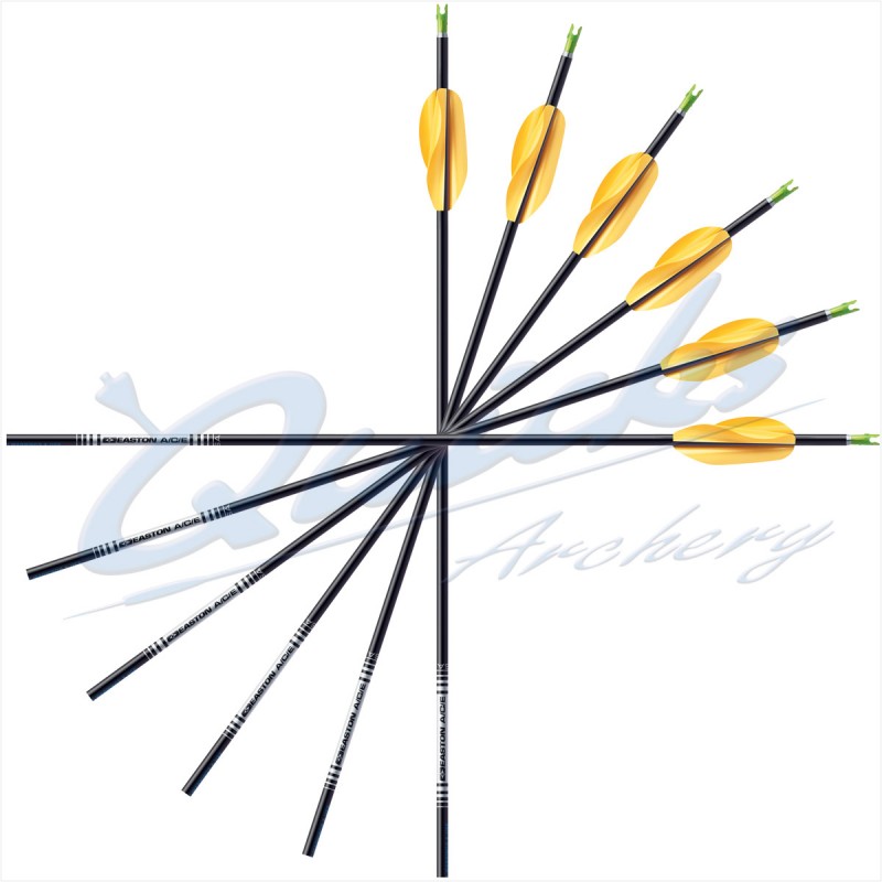 Easton ACE Arrows with Beiter Pin Nocks & EP49 Points