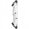 Hoyt Concept X 37 Compound