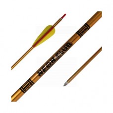 Merlin Neon Club 1618 Beginners Alloy Arrows Custom Made, MP20 Points installed (set of 12) : MS25