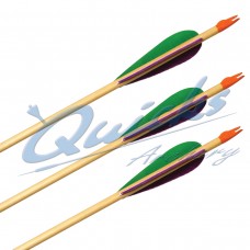 QS60 12 Wooden Arrows