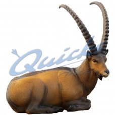 SRT Bedded Ibex  ST15