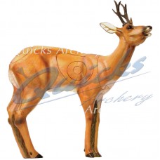 SRT Roe Buck : ST24