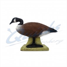 SRT Canada Goose :  ST31