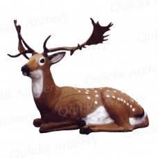 SRT Bedded Fallow Deer : ST41