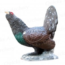 SRT Woodgrouse :  ST61