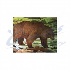 JVD Target Face Bear : VT21