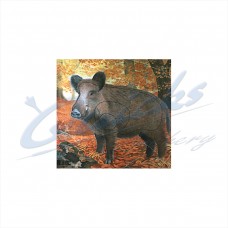Animal
