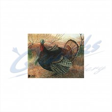 JVD Target Face Turkey : VT24