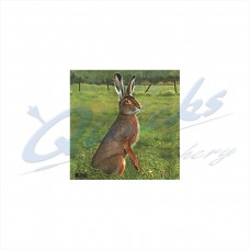 JVD Target Face Hare : VT29