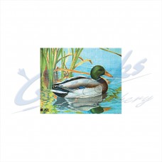 JVD Target Face Duck : VT30