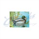JVD Target Face Duck : VT30