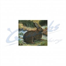 JVD Target Face Rabbit : VT32