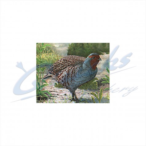 JVD Target Face Partridge : VT33AnimalVT33