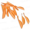 Original Spinwing Vanes 1 3/4 Inch (pack 50) : ZF53Spin VanesZF53